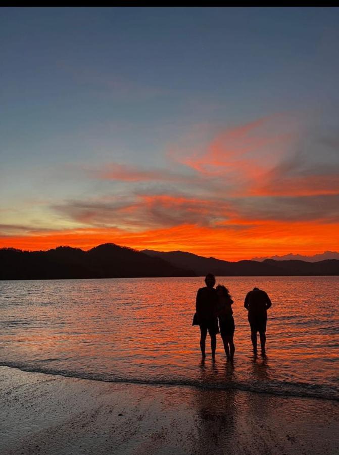 Bioluminiscencia Hostel Tours - South Paquera Eksteriør bilde