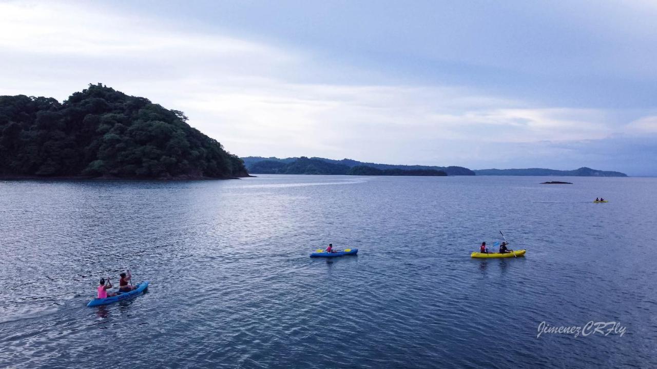 Bioluminiscencia Hostel Tours - South Paquera Eksteriør bilde